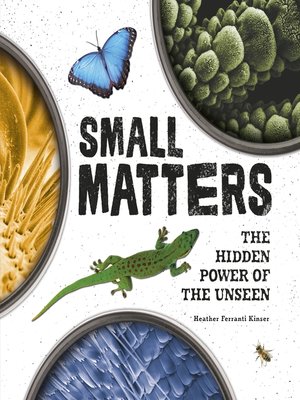 cover image of Small Matters